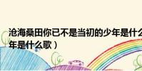 滄海桑田你已不是當初的少年是什么歌(你已不是當初的少年是什么歌)