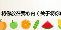 將你放在我心內(關于將你放在我心內簡介)