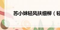 蘇小妹輕風扶細柳(輕風扶細柳)