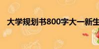 大學規劃書800字大一新生(大學規劃書)