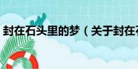 封在石頭里的夢(關于封在石頭里的夢簡介)