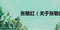 張敏紅(關于張敏紅介紹)