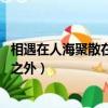相遇在人海聚散在重逢之外王小帥（相遇在人海 聚散在重逢之外）