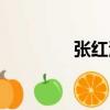 張紅波（關于張紅波介紹）