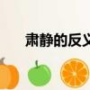 肅靜的反義詞是什么（肅靜的反義詞）