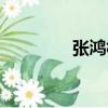 張鴻林（關于張鴻林介紹）