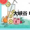 大峽谷 電影 林賽（大峽谷 電影）