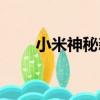 小米神秘新機（小米千元神秘新品）