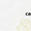 callkit插件（callkit）