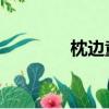 枕邊童話 小說（枕邊童話）