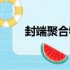 封端聚合物（關于封端聚合物簡介）