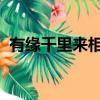 有緣千里來相會無緣對面手難牽是什么歌曲