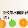 張文軍水粉靜物應試范本（關于張文軍水粉靜物應試范本介紹）