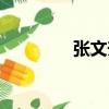 張文升（關于張文升介紹）