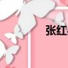 張紅兵（關于張紅兵介紹）