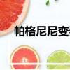 帕格尼尼變奏曲選段（帕格尼尼變奏曲）