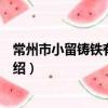 常州市小留鑄鐵有限公司（關于常州市小留鑄鐵有限公司介紹）