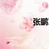 張鵬軍（關于張鵬軍介紹）
