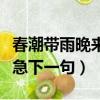 春潮帶雨晚來急下一句是啥子（春潮帶雨晚來急下一句）