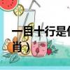 一目十行是什么生肖?羨（一目十行是什么生肖）