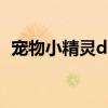 寵物小精靈dp188集（寵物小精靈dp163）