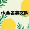 ck全名英文叫什么內褲（ck全名英文叫什么）