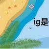 ig是什么品牌（ig是什么）