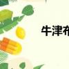 牛津布料結實嗎（牛津布料）