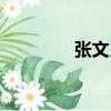 張文義（關于張文義介紹）
