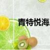 青特悅海府物業電話（青特悅海府）