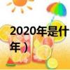 2020年是什么年屬什么生肖（2020年是什么年）
