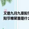 又是九月九重陽節難聚首是什么歌紅塵情歌（又是九月九重陽節難聚首是什么歌）