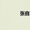 張自軍（關于張自軍介紹）