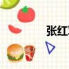 張紅軍（關于張紅軍介紹）