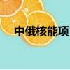 中俄核能項目意義（中俄大力發展核能）