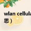 wlan cellular是什么意思（cellular是什么意思）