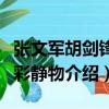 張文軍胡劍鋒色彩靜物（關于張文軍胡劍鋒色彩靜物介紹）