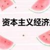 資本主義經濟危機時間（資本主義經濟危機）