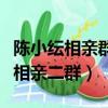 陳小紜相親群是什么節目（陳小紜進不了北京相親二群）