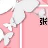 張虎（關于張虎介紹）