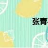 張青喜（關于張青喜介紹）