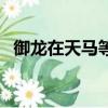 御龍在天馬等級（御龍在天馬怎么升級快）