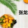 張龍寶（關于張龍寶介紹）