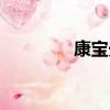 康寶光驅接口（康寶光驅）