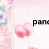 pandareader rar format