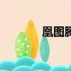 凰圖騰的華妃（凰圖騰華妃）