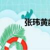 張瑋黃齡什么關系（張瑋 黃齡）