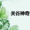 關谷神奇為什么（關谷神奇怎么了）