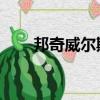 邦奇威爾斯什么水平（邦奇 威爾斯）
