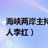海峽兩岸主持人李紅老公簡歷（海峽兩岸主持人李紅）